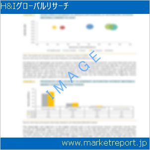 市場と産業調査レポートのイメージ